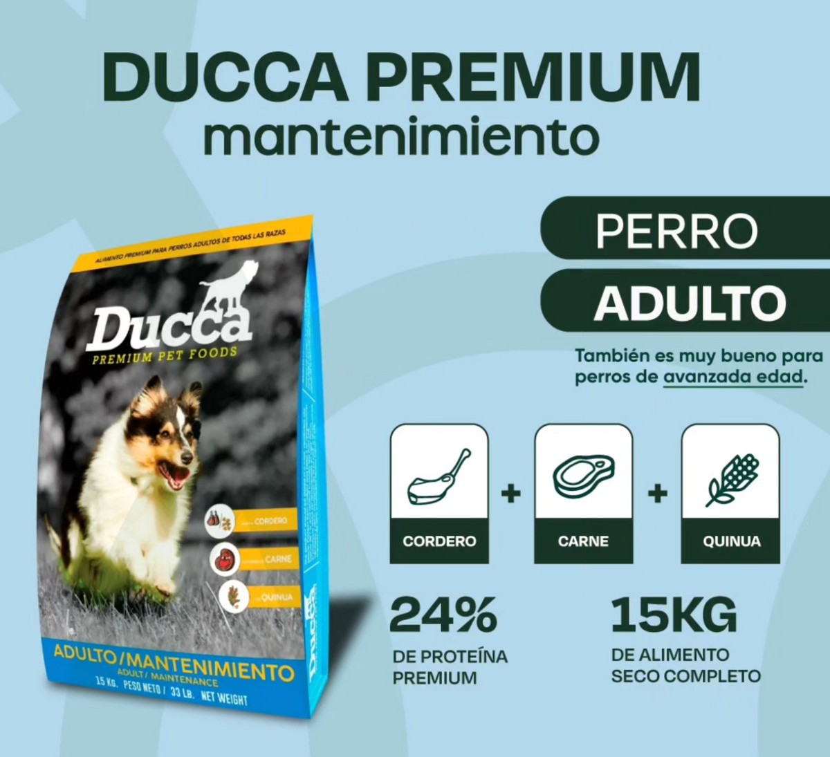DUCCA ADULTO